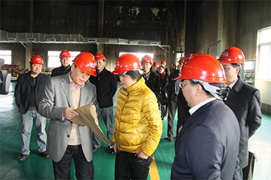 2012年1月31日，時任嘉興市委書記魯俊率領(lǐng)市發(fā)改委等市級部門負(fù)責(zé)人到公司調(diào)研